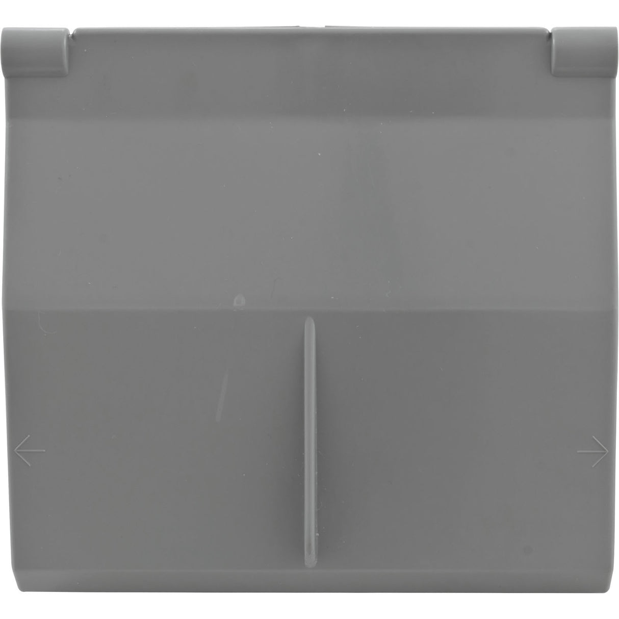 Weir, Waterway Front Access Skim Filter, Light Gray, w/ Foam : 550-4057