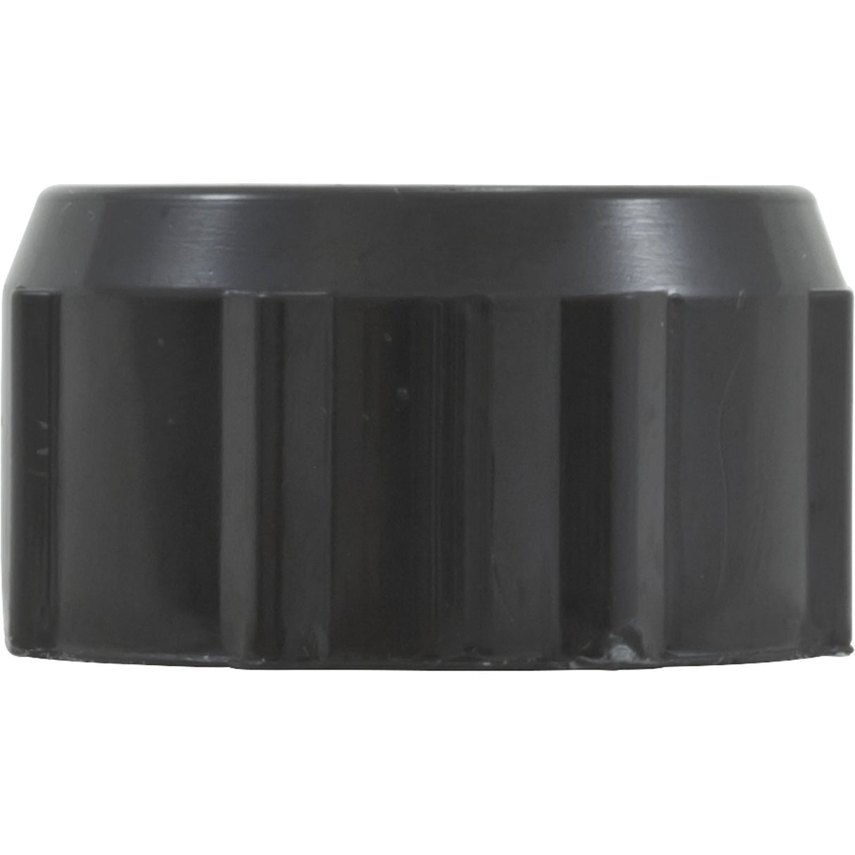 Drain Cap, Waterway Filter On/Off Valve, 1/2"fght, Black : 519-0231