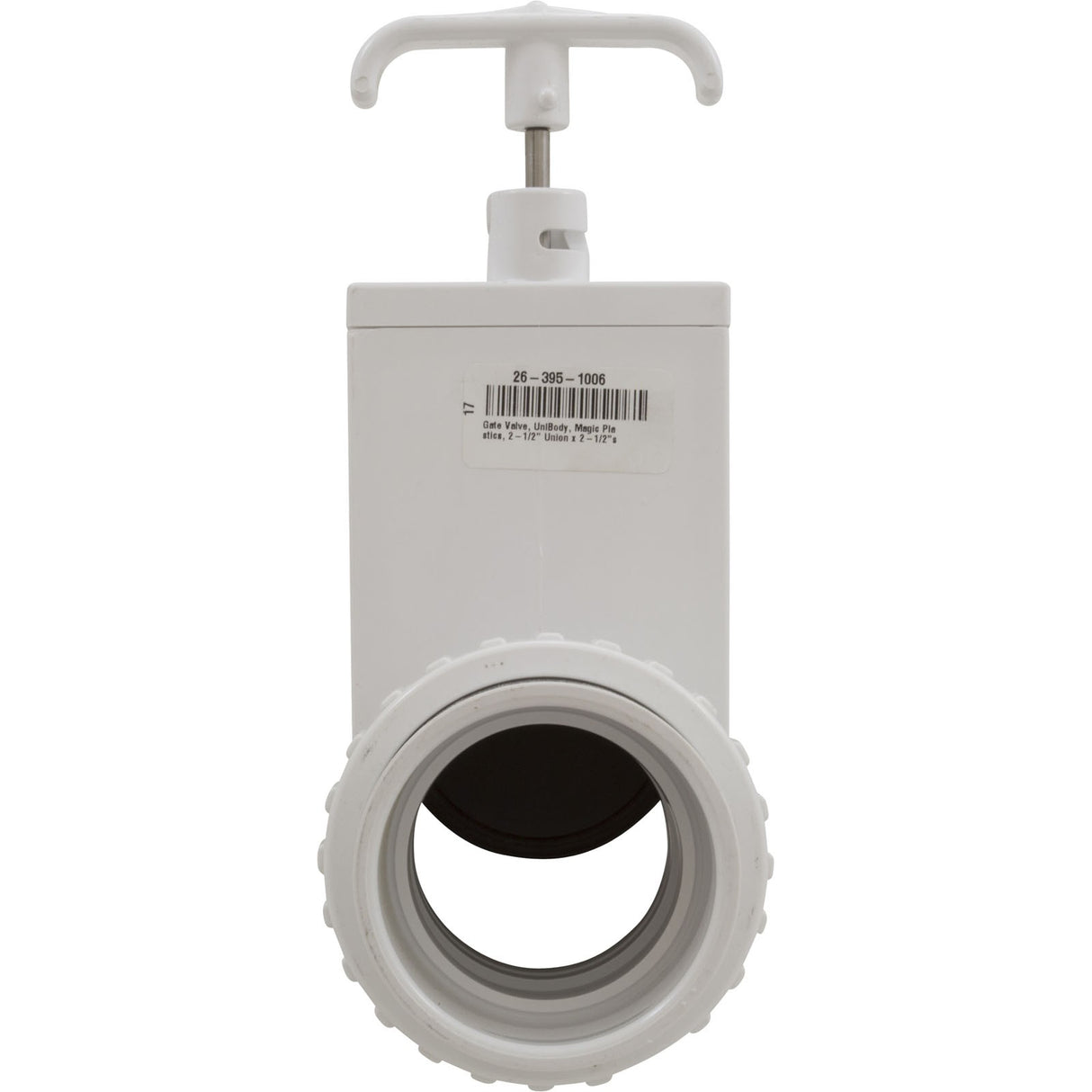 Gate Valve, UniBody, Magic Plastics, 2-1/2" Union x 2-1/2"s : 0516-25