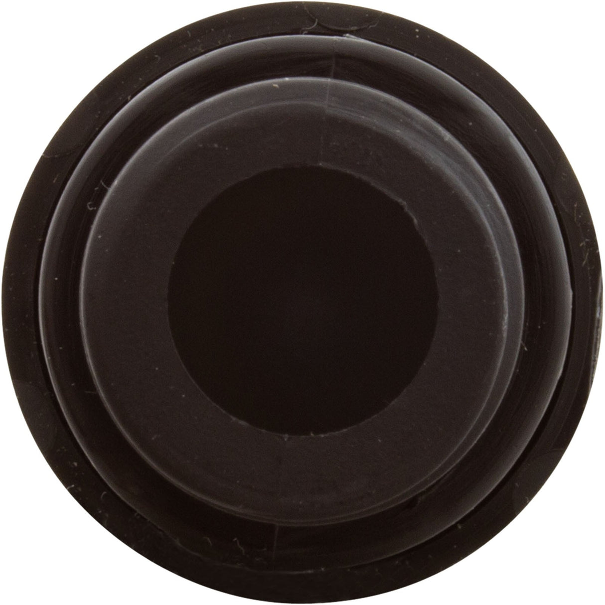Check Valve, Aquastar ChemStar CH100 : CH1010