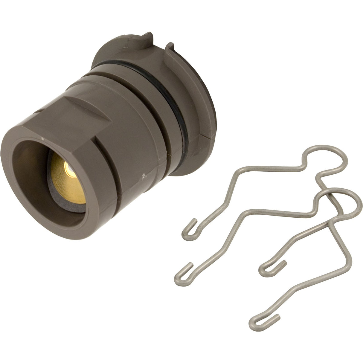 Inlet Assembly, Hayward Perflex EC60/65/70, with Check Valve : ECX4201CA