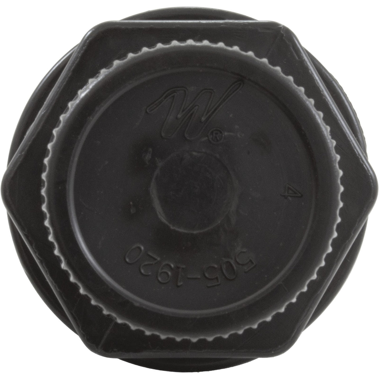 Drain Plug Assembly, Waterway Clearwater : 500-5300