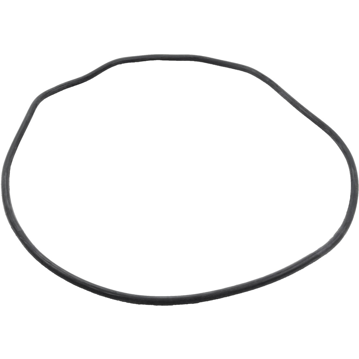 Tank Body, Pentair Sta-Rite System 3, All S8 Models, 25" : 24851-0103S