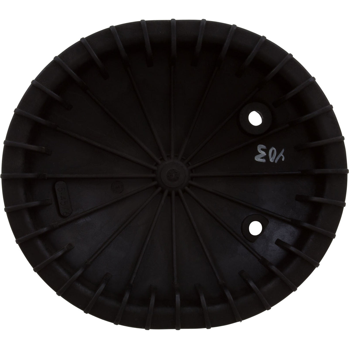 Closure, Pentair, Triton C-3, Oval, w/Bolt : 154576