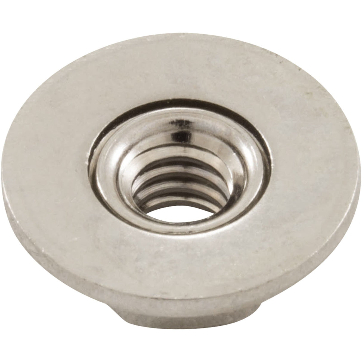Hex Nut, Hayward S240, with Washer : ECX1645