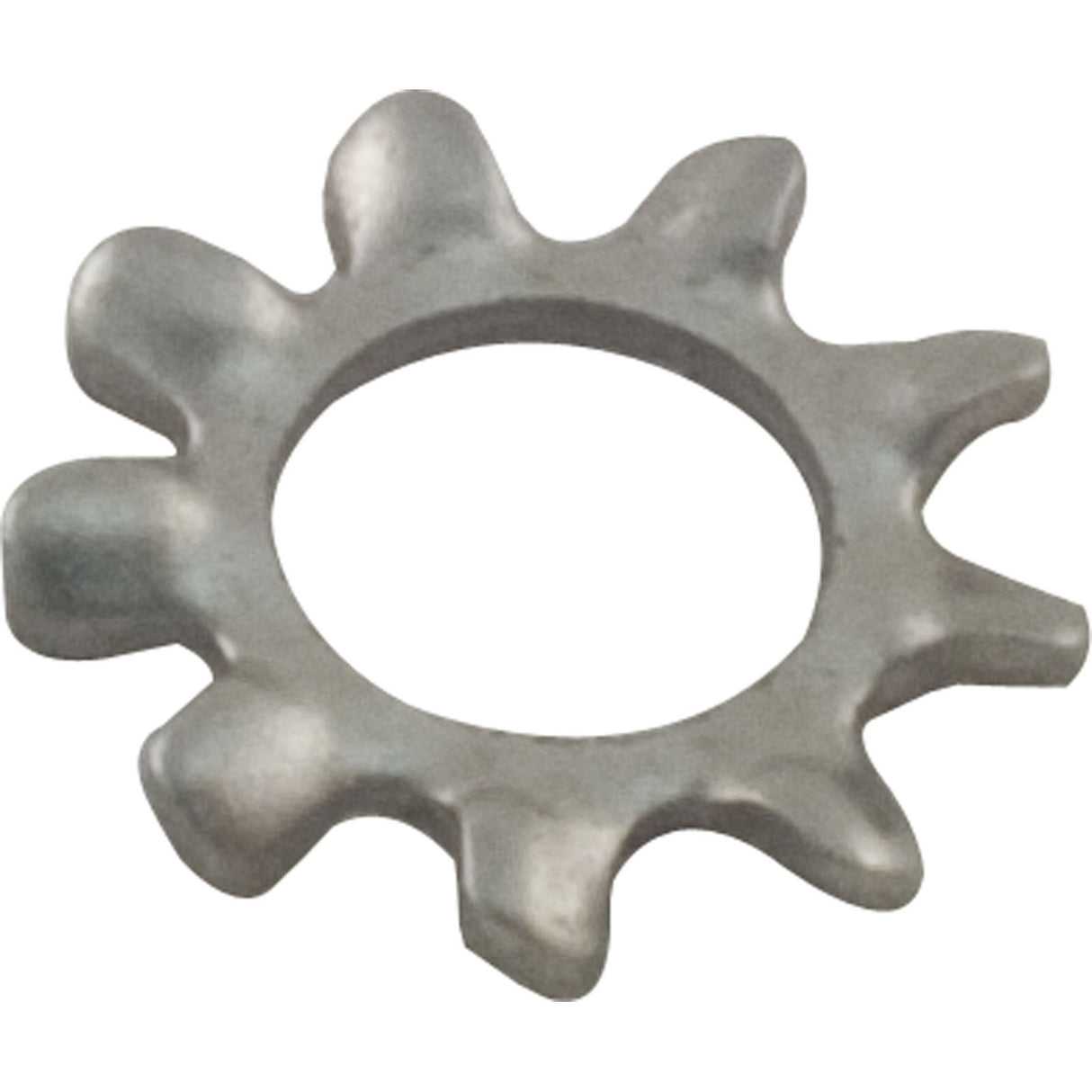 Lock Washer, Pentair Sta-Rite LT, Number 10 : U43-22SS