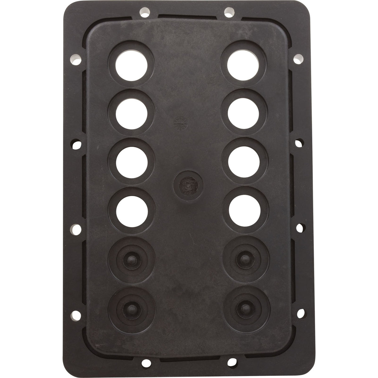 Manifold Backplate Kit, Zodiac Jandy JXi 260 : R0590003