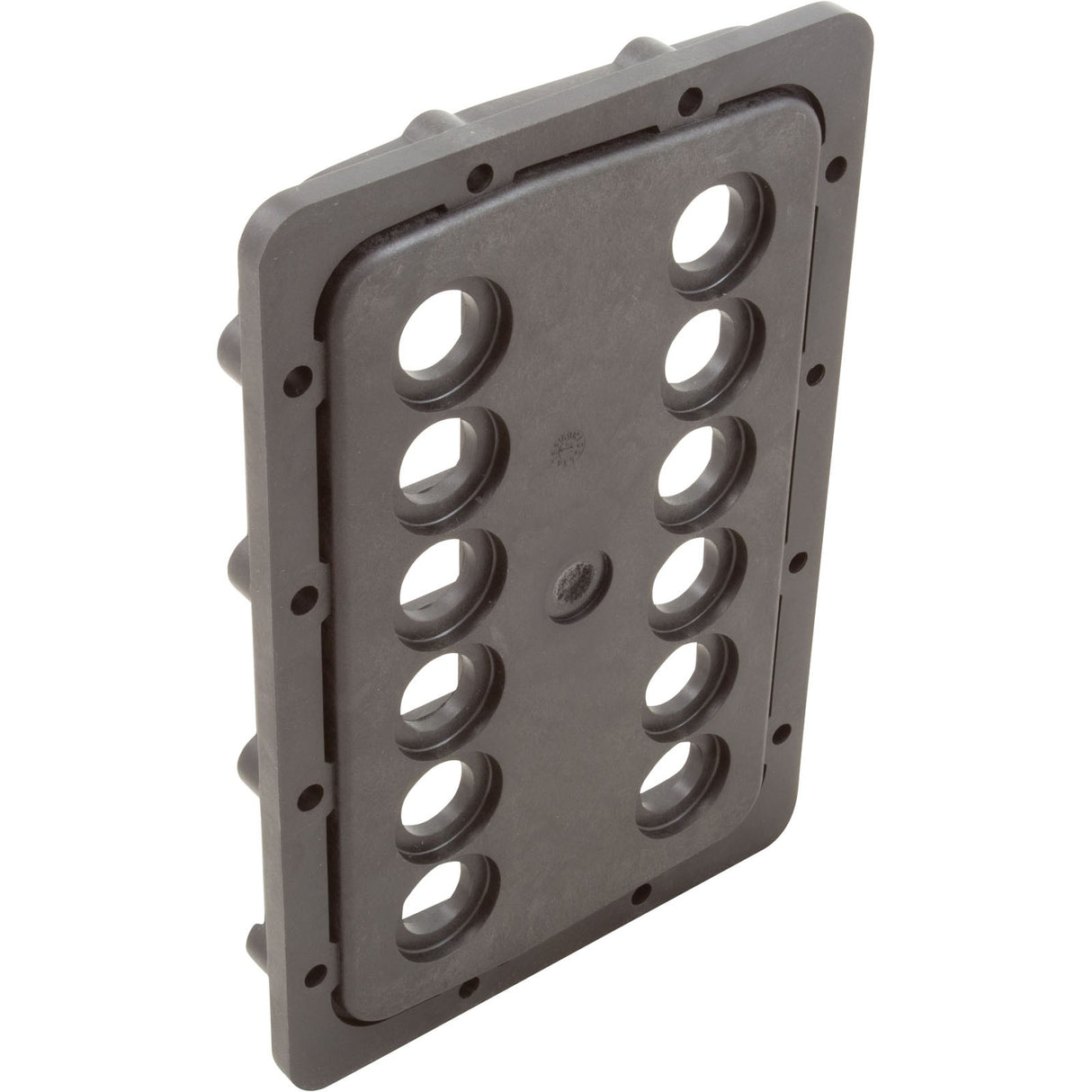 Manifold Backplate Kit, Zodiac Jandy JXi 400 : R0590005