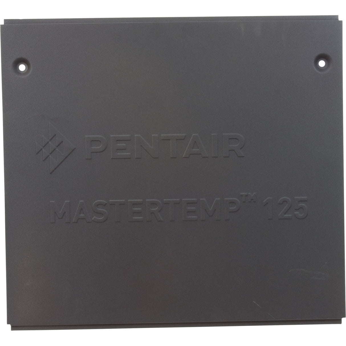 Side Panel, Pentair MasterTemp 125, Service Panel : 474991