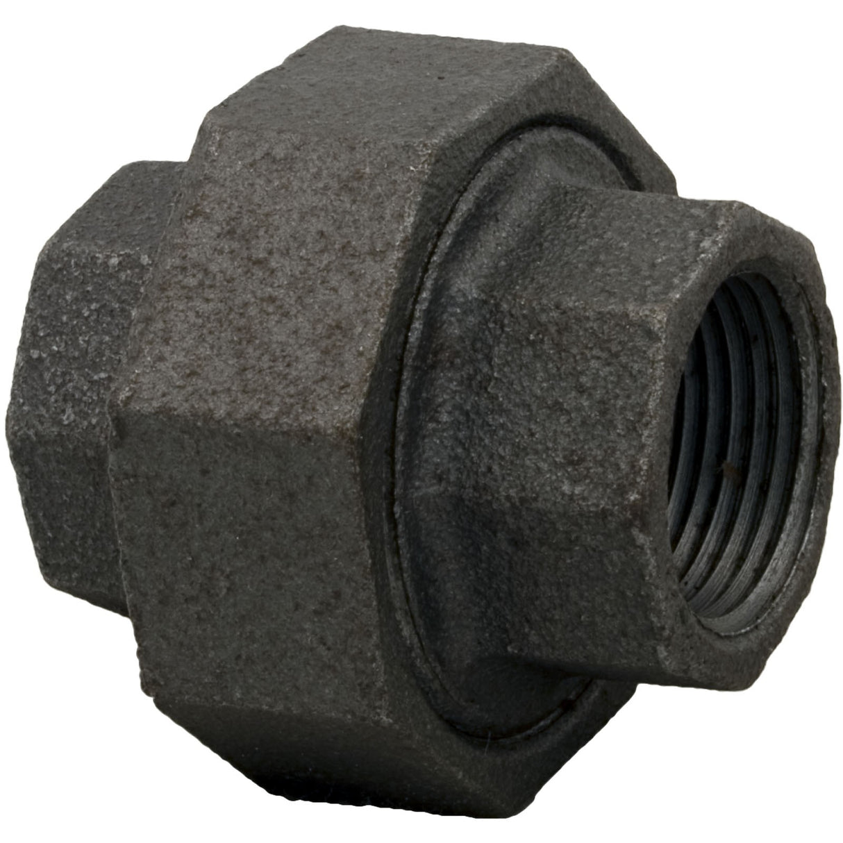 Union, Pentair Sta-Rite, 3/4" Female Pipe Thread : 38404-4097S