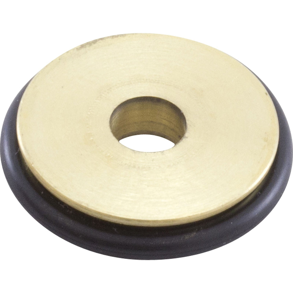 Orifice, Pentair MasterTemp 200/Max-E-Therm 200, Nat. : 77707-0431