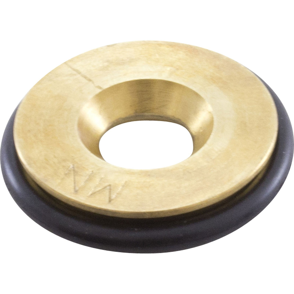 Orifice, Pentair MasterTemp 300, Nat. : 460753