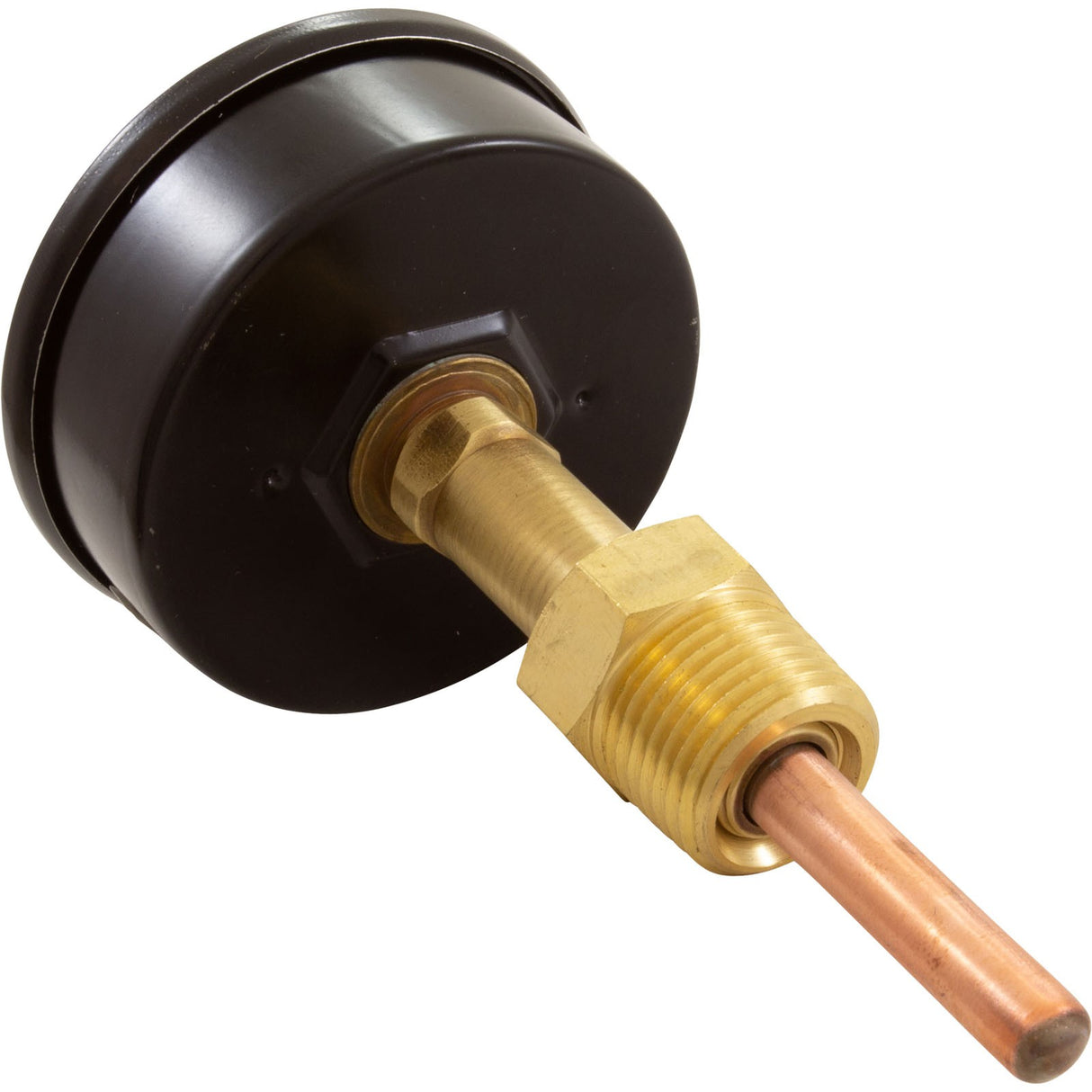 Temperature & Pressure Gauge Kit, Raypak Hydronic Heaters : 007399F