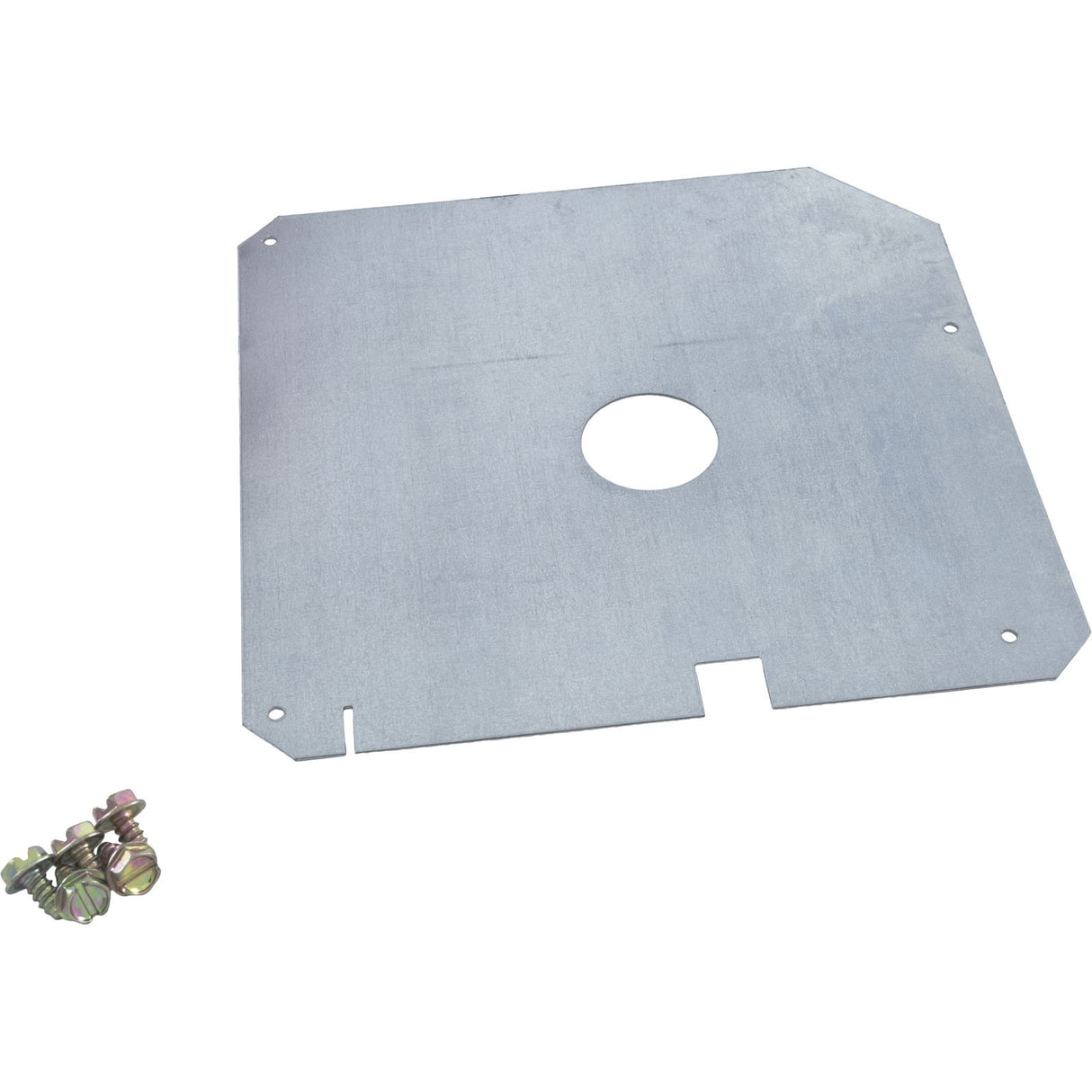 Combustion Orifice Plate, Raypak 207A : 010338F