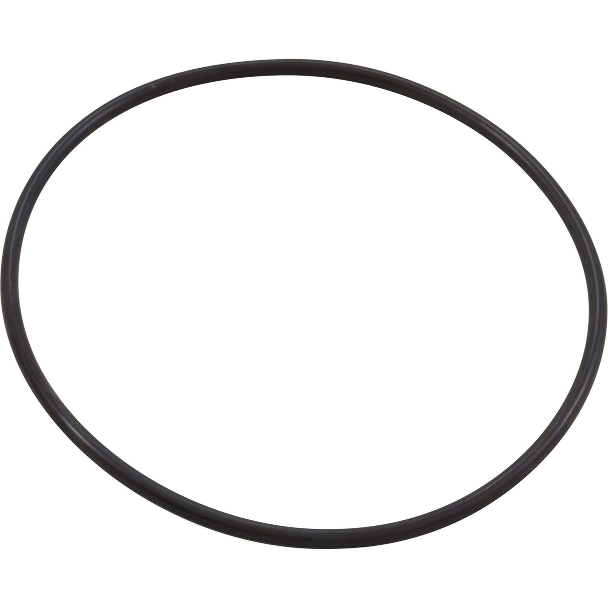 Seal Plate O-Ring, Pentair IntelliFloXF/IntelliProXF : 351446Z