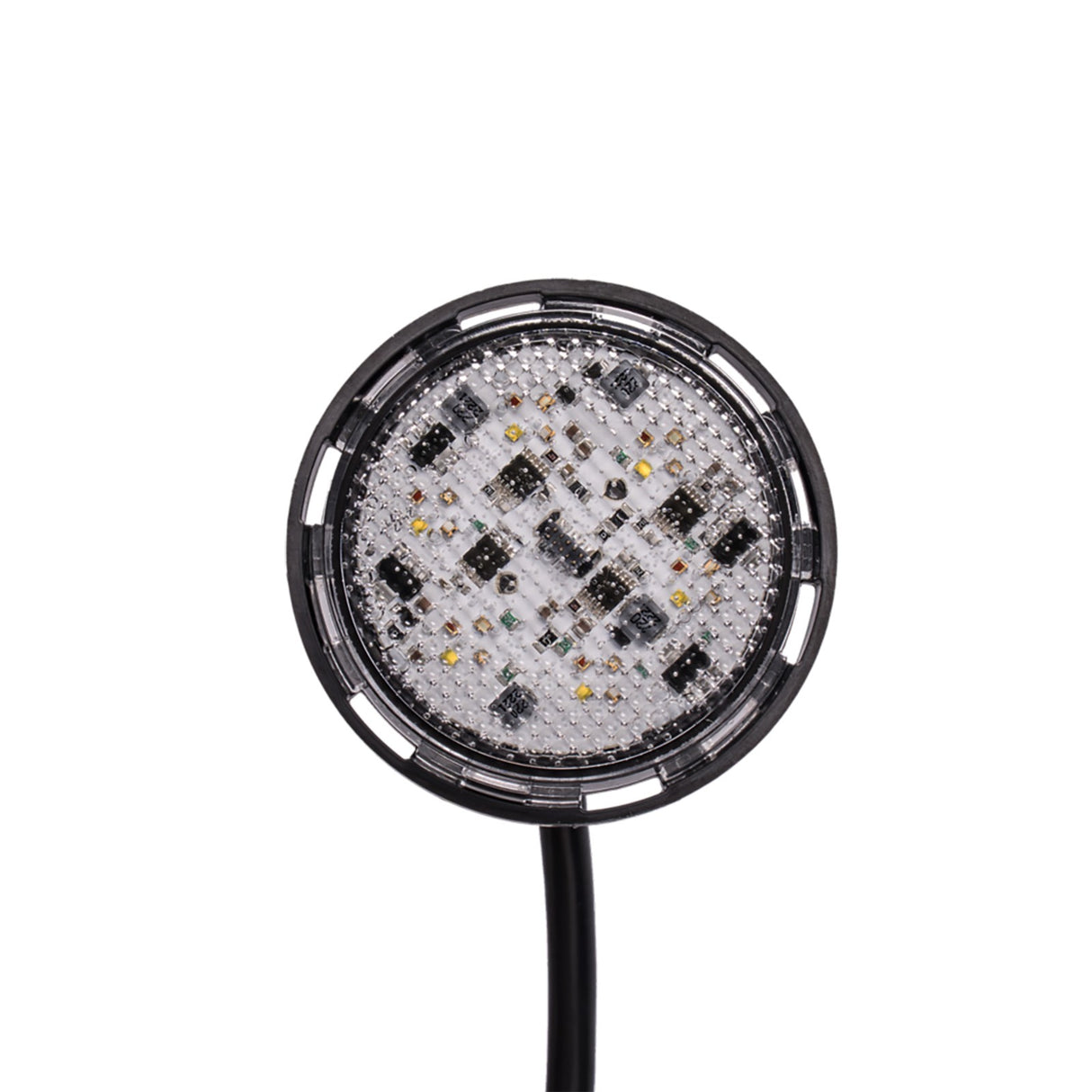 Pool Light, Pentair IntelliVibe Mezzo, 12V, 24W, 50ft : 602281