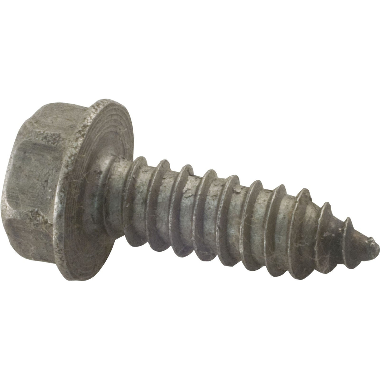 Screw, Pentair Sta-Rite, 5/16-14 x 1" : U30-918SS