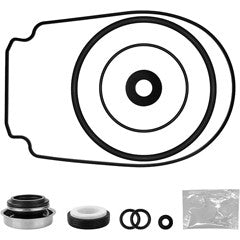 Seal Quick Kit, Pentair WhspFlo/IntlFlo, Chemical/Salt/Ozone : 356198