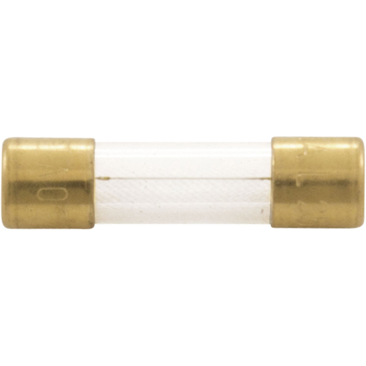 Fuse, Maytronics Dolphin, Slow Blow, 2.5A : 1930251