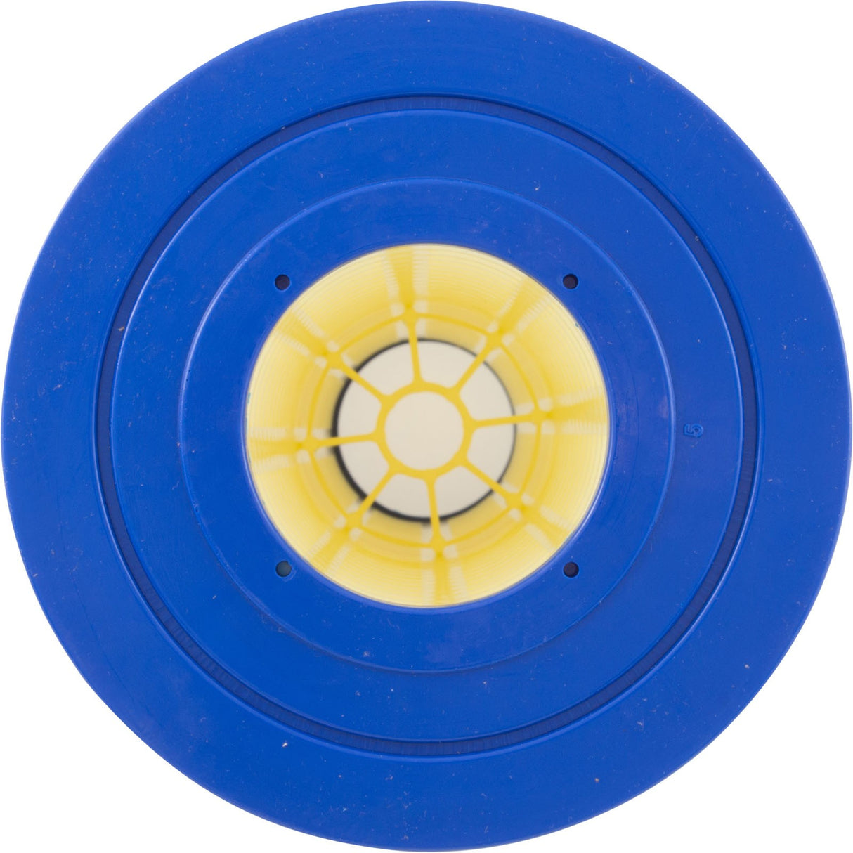 Cartridge 4 Pack, Pentair Clean & Clear Plus 420 : 179135