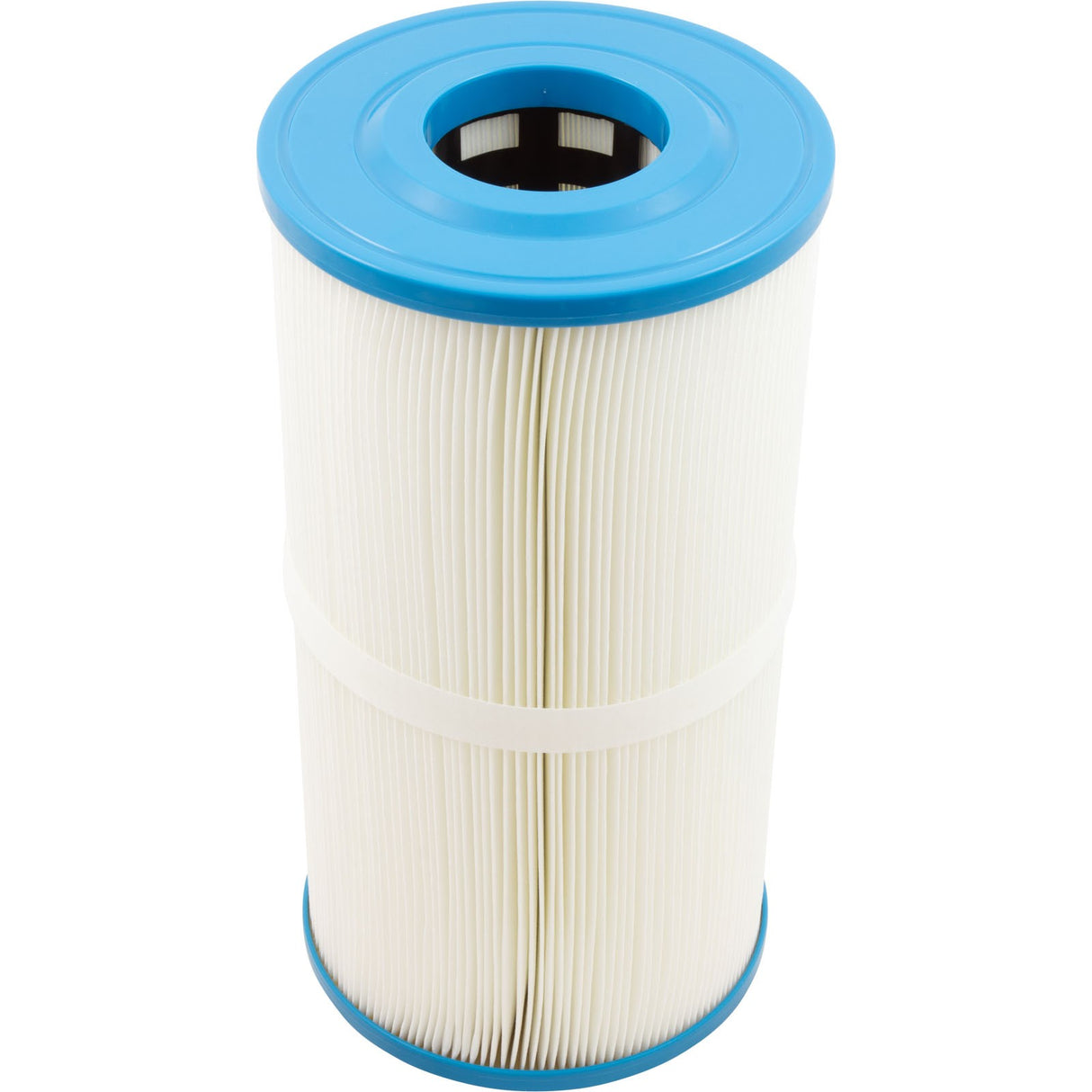 Cartridge, Raypak Protege RPCFP50 : 018240F