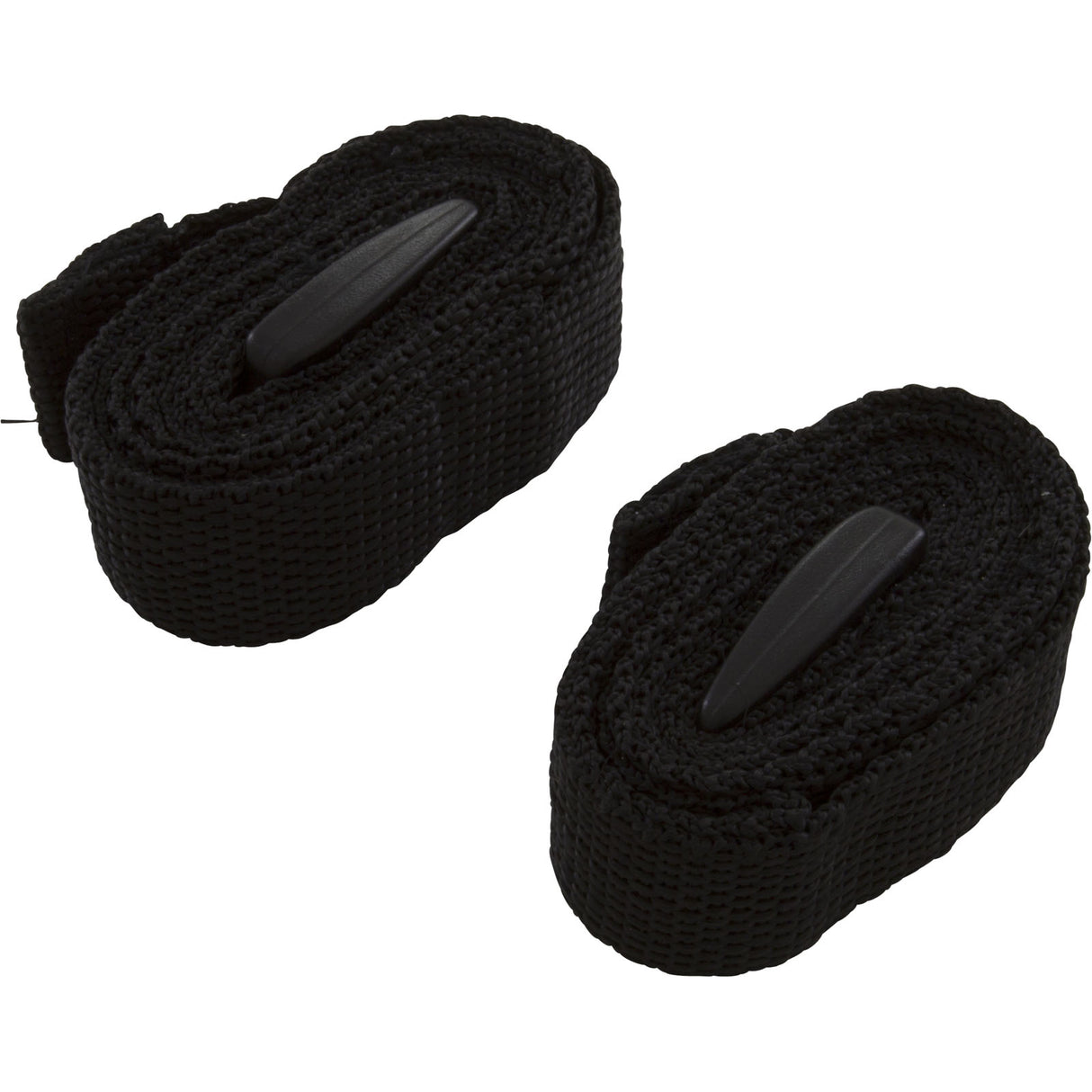 Lifting Strap, Pack of 2, Carvin Avalance AV100 : 23495302R2 - Carvin - 23495302R2 - PartsForSpas.com