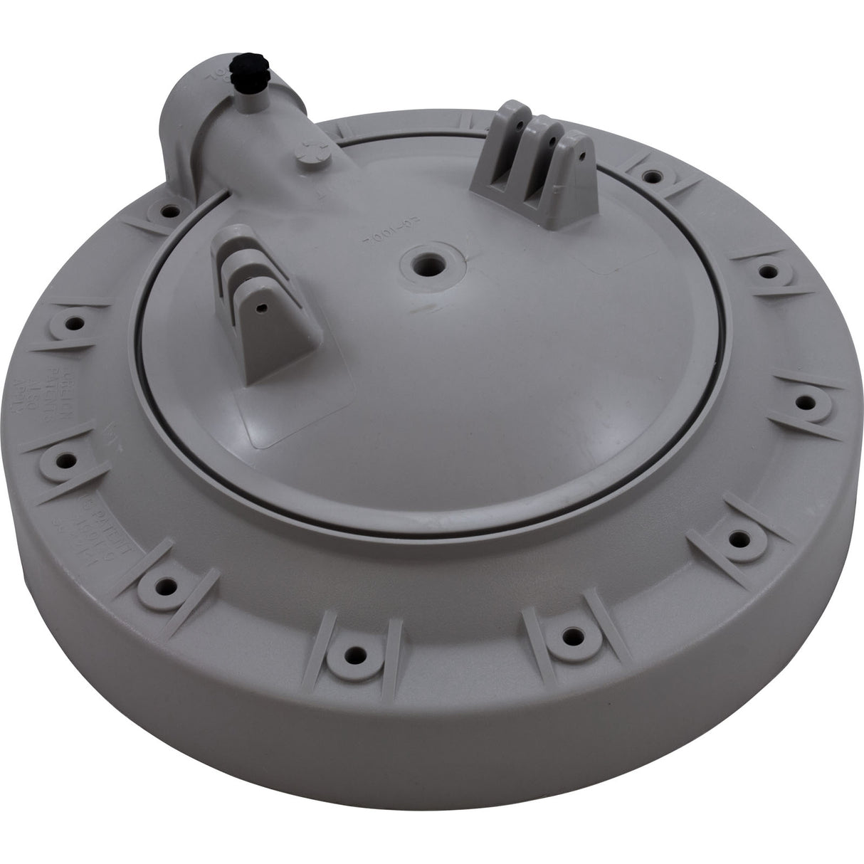 Tank Lid, Hayward Perflex EC40 : ECX10334P - Hayward - 0610377024013 - PartsForSpas.com