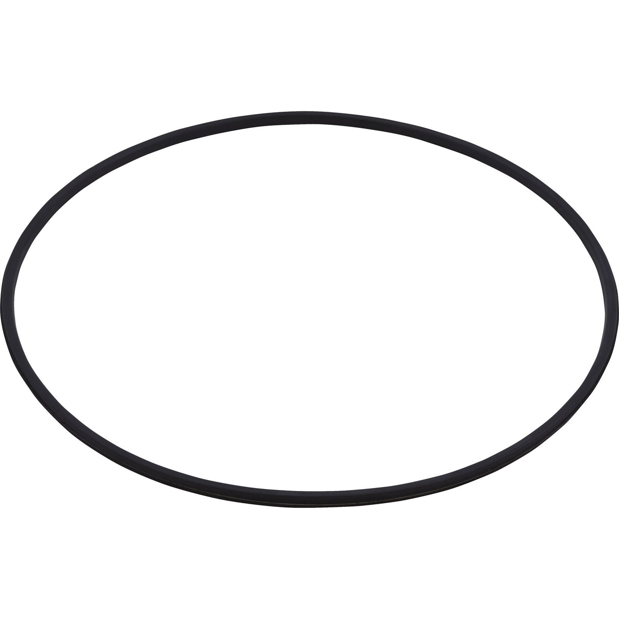 Clamp Ring Kit, Hayward Pro-Grid/Swim-Clear : DEX2421JKIT - Hayward - 0610377105972 - PartsForSpas.com
