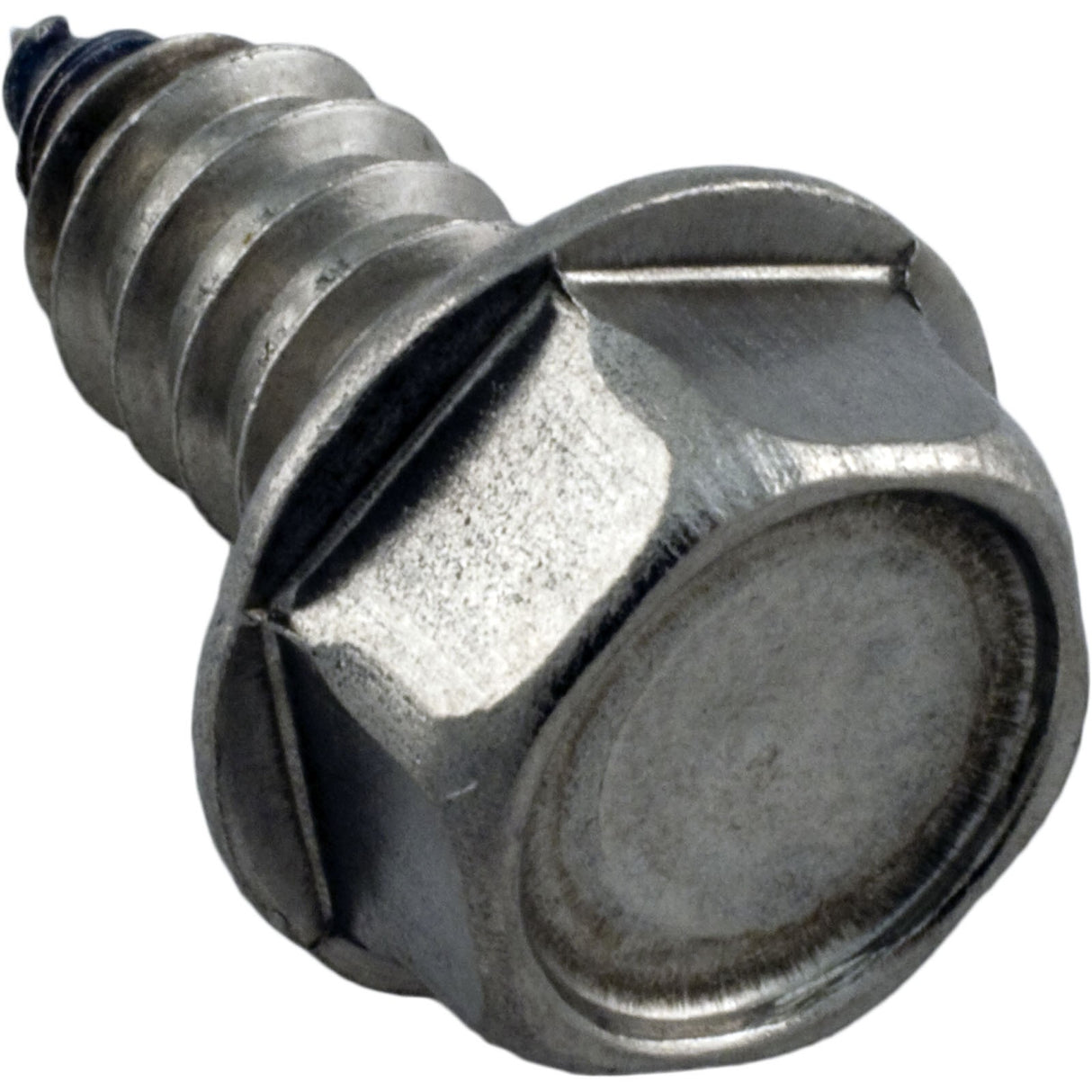 Screw, Pentair Sta-Rite, 5/16-14 x 5/8" : U30-919SS