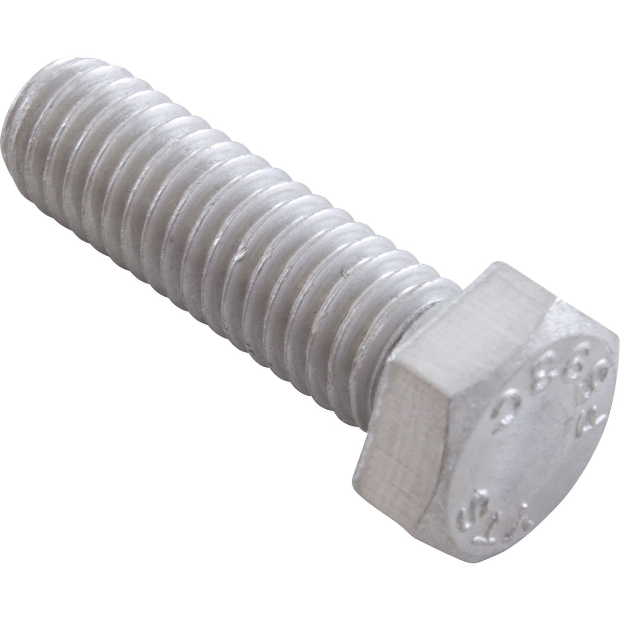 Bolt, Pentair Sta-Rite, 3/8-16 x 1-1/4" : U30-75SS