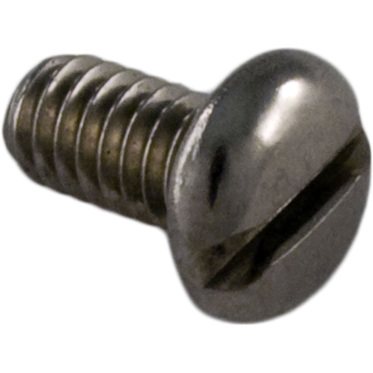 Screw, Pentair L79BL Cleaner, Tile Rinser : LG49