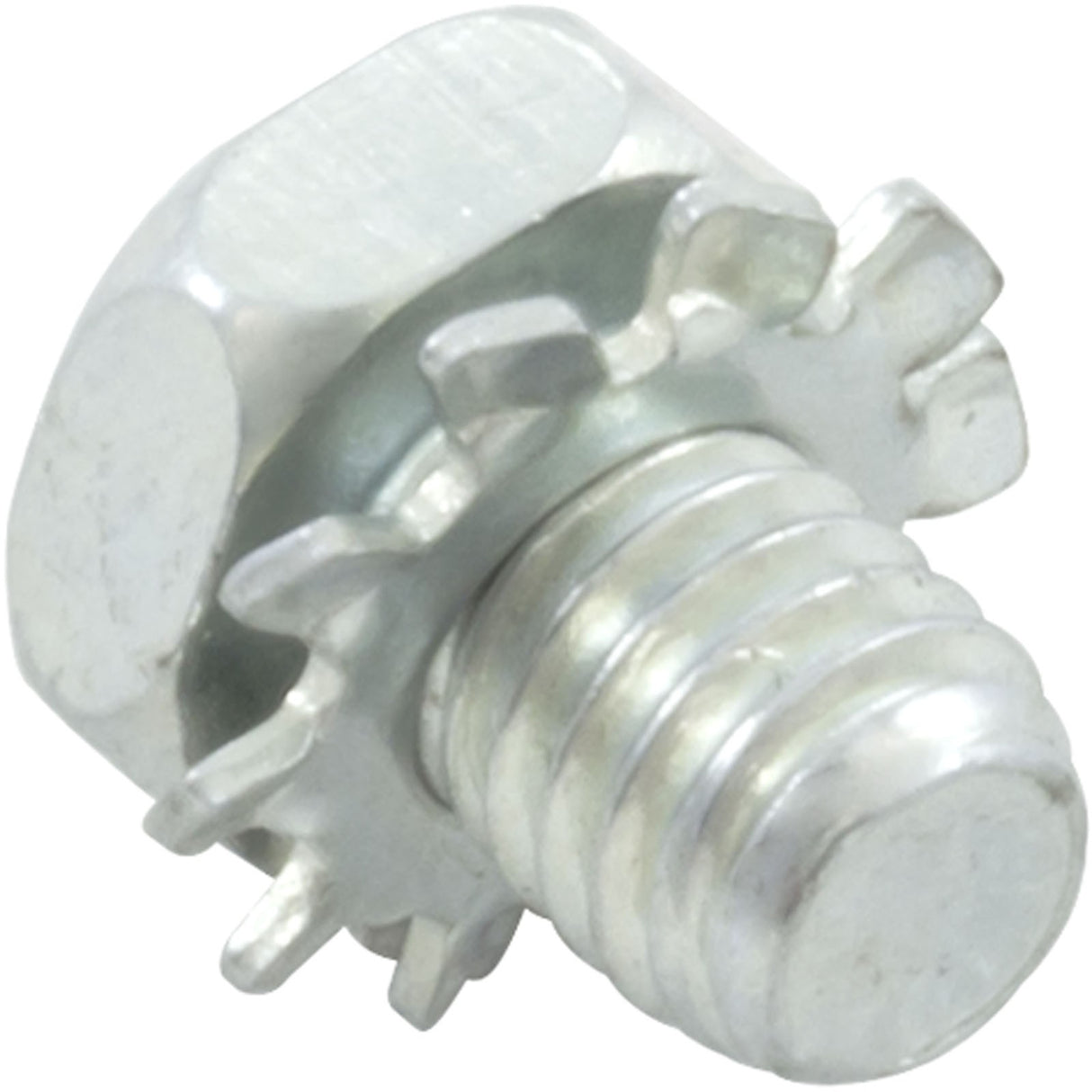 Screw, Balboa Water Group, 10-32 x 1/4 : 36151