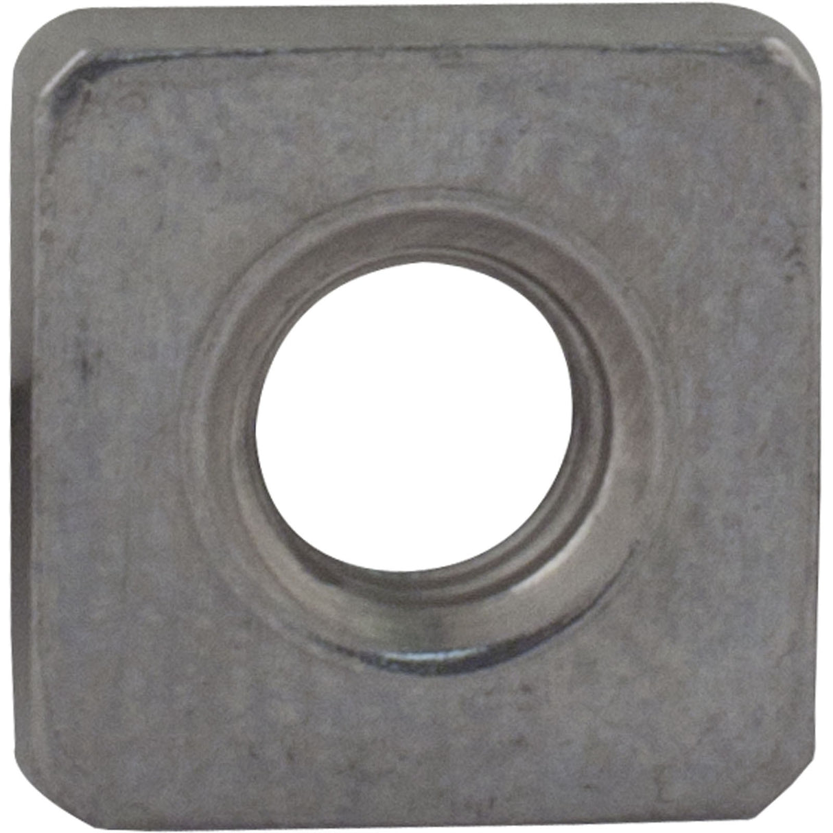 Nut, Pentair PacFab Dynamo, Seal Plate : 354542