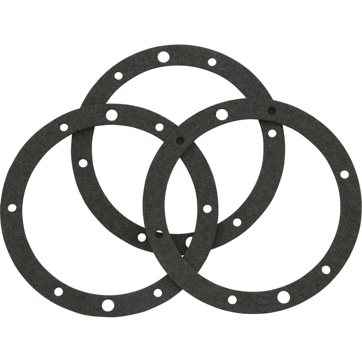 Gasket Set, Pentair, Small SS Niche, Dbl Wall, 8-Hole, 3 Pk : 79204603