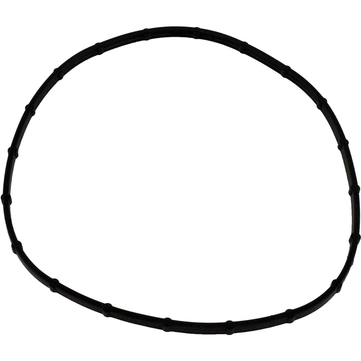 Light Lens Seal, Sta Rite, Sunsaver, Post-1999 : 05101-0002