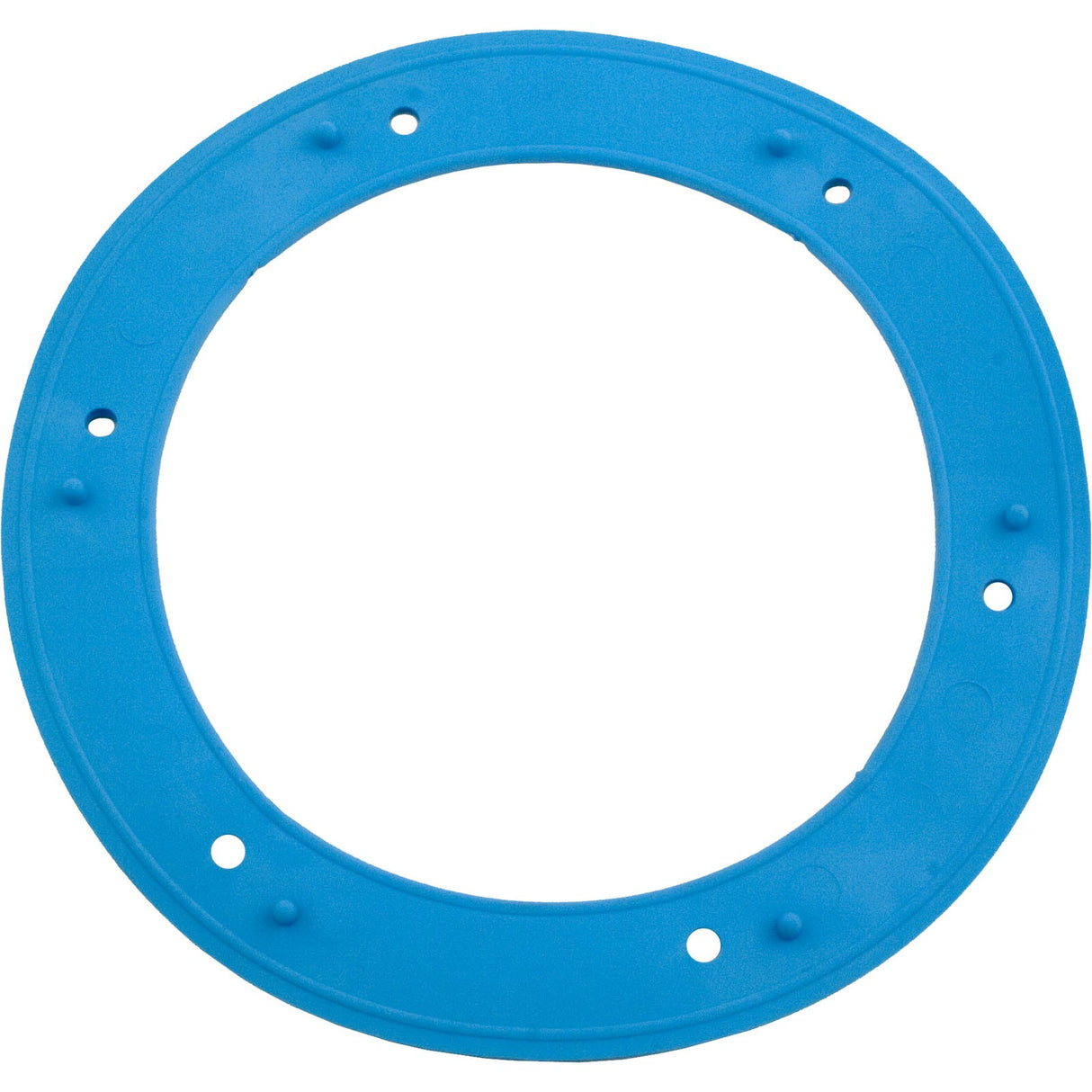 Light Niche Liner Gasket, Sta Rite, Small : 05166-0001