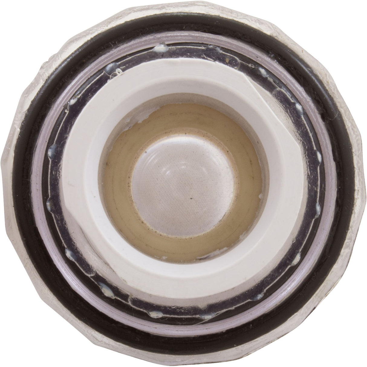 Lens Subassembly, Pentair Fiberworks OptiFusion, w/o Housing : 22102000