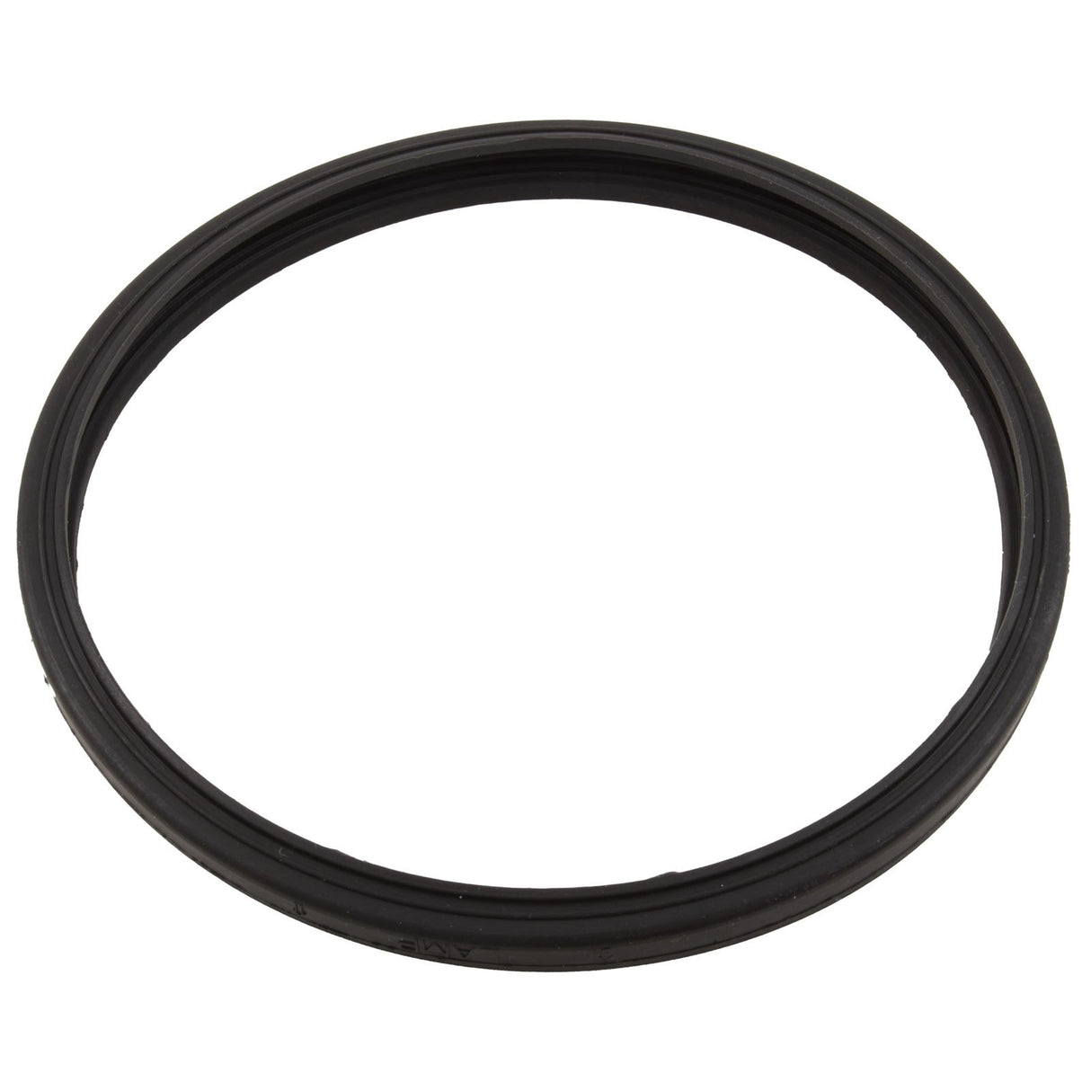 Gasket, Sta-Rite Sunbrite/Sunglow, Light Lens : 05501-0005Z