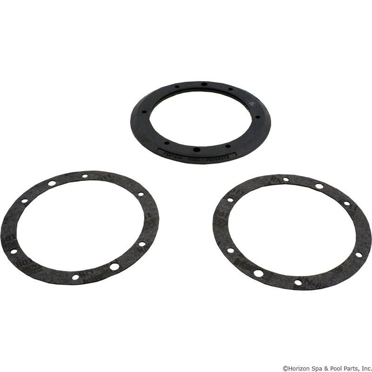 Light Niche Gasket Kit, Pentair, AquaLight, w/Gasket, SS : 79207900