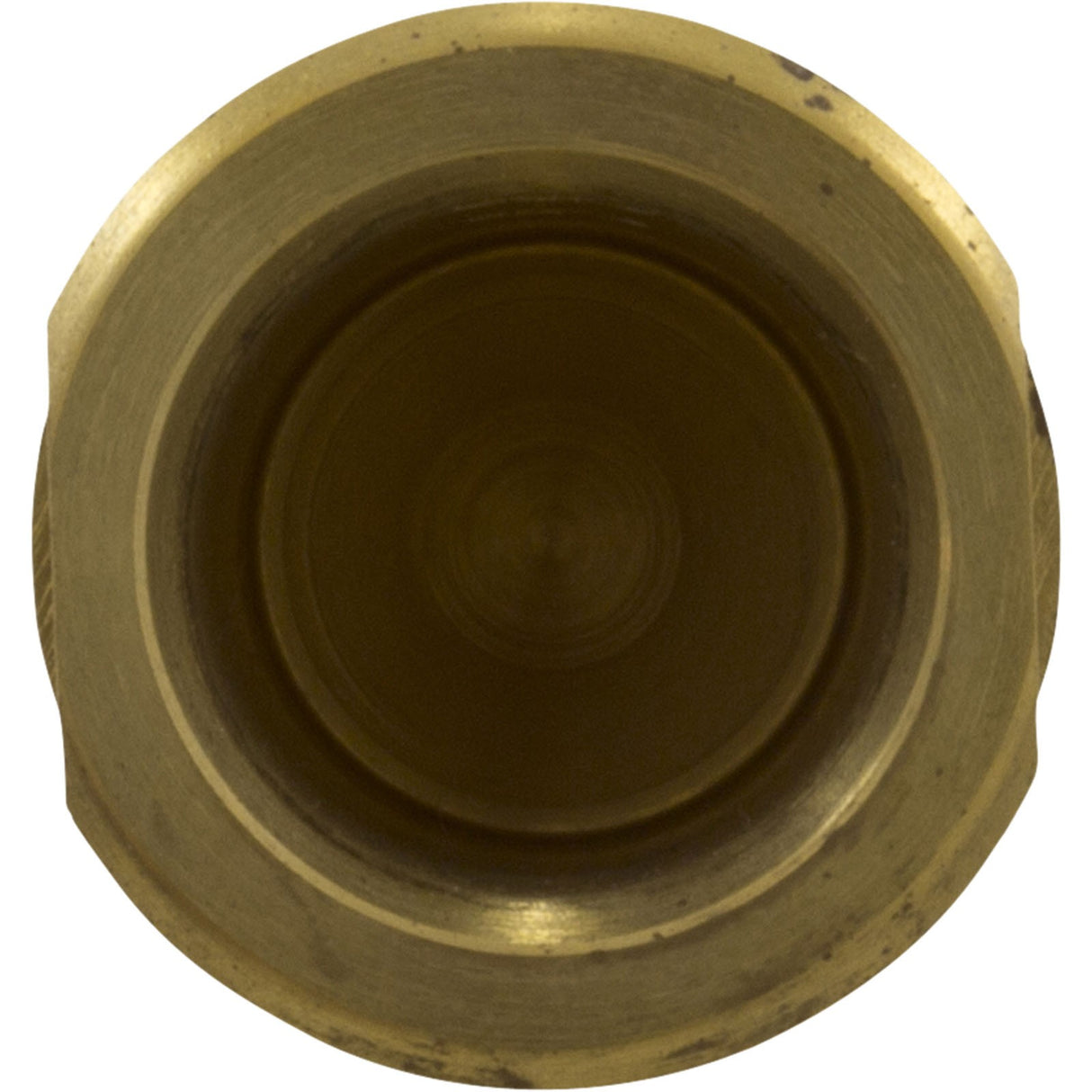 Pump Stub Shaft, Sta-Rite XL-7 Series, Brass : V22-112