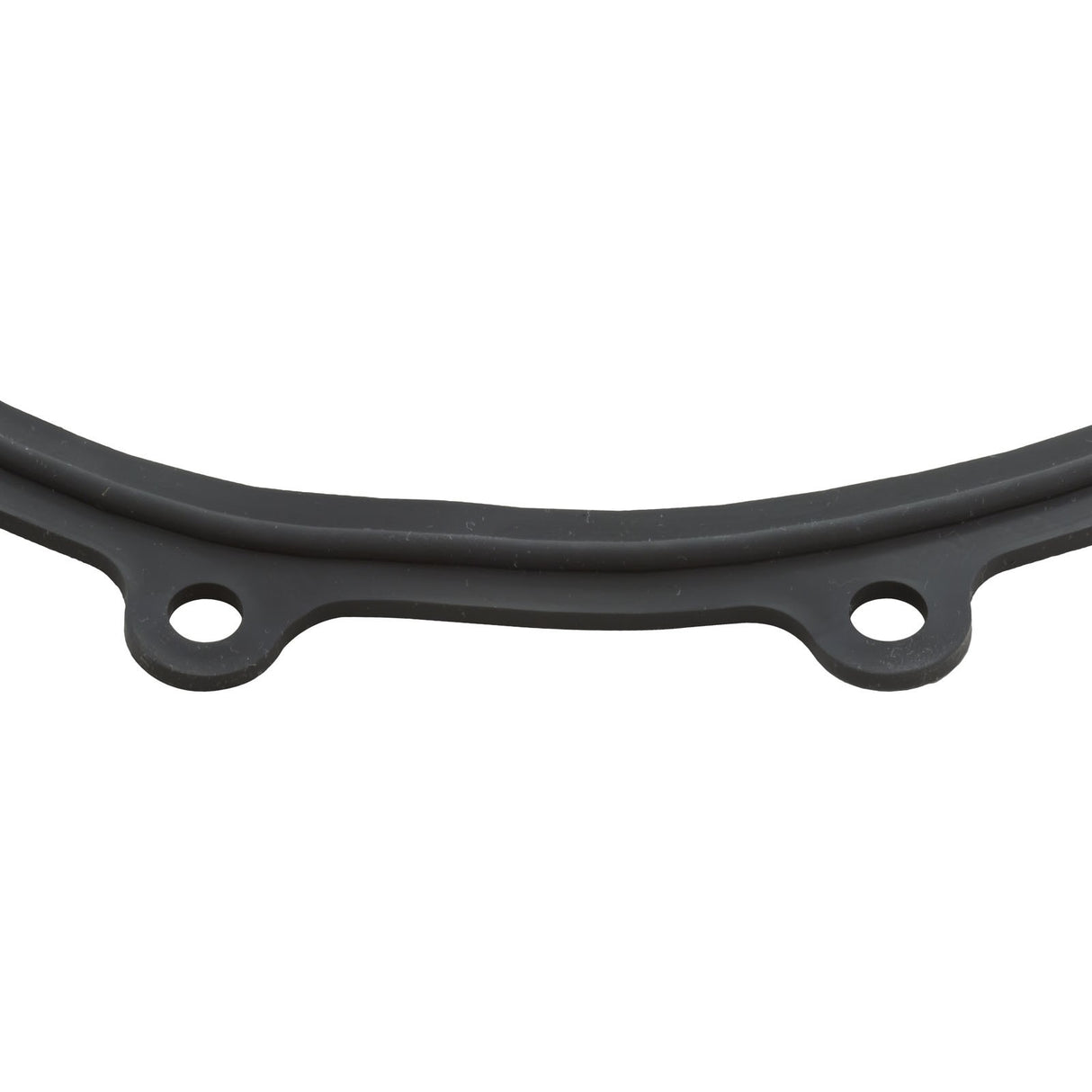 Faceplate Gasket, Big Red Pump : 711-2610