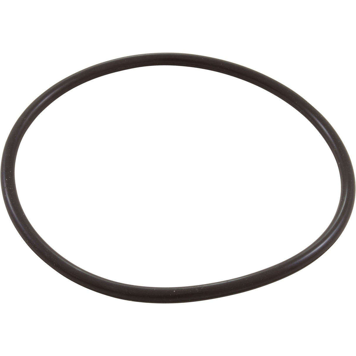 Zodiac Nature2 Pro G Plus Chlorine Chamber O-Ring : W13068