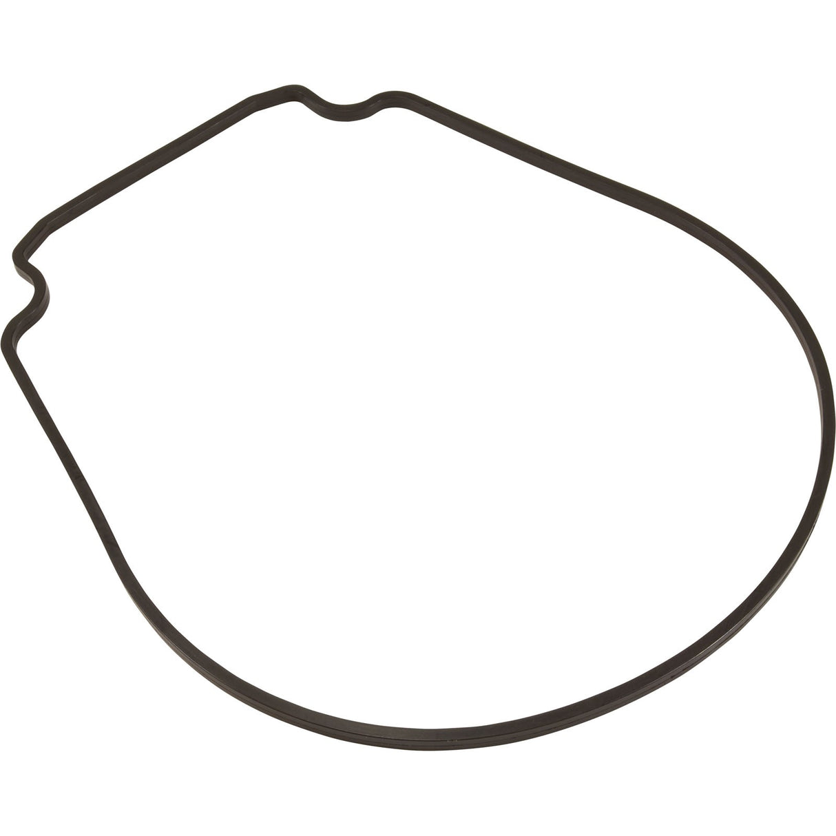 Gasket, Pentair Purex IntelliFlo VS, Seal Plate, Special ID/OD : 357100Z