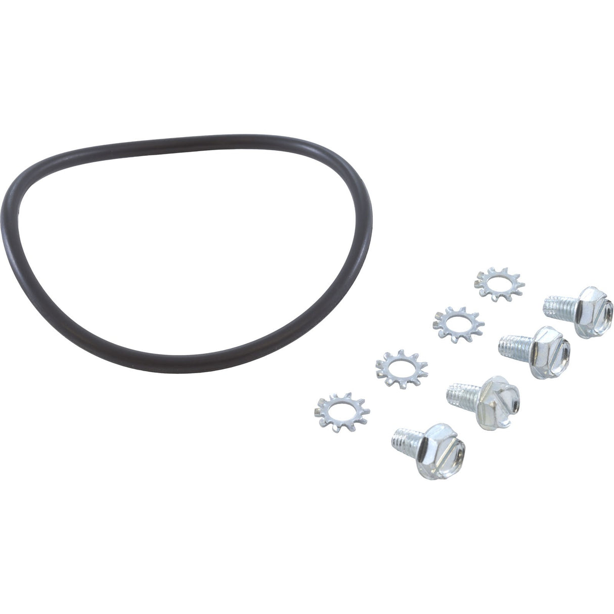 O-Ring, Zodiac Laars HI-E2, Venturi : R0320400