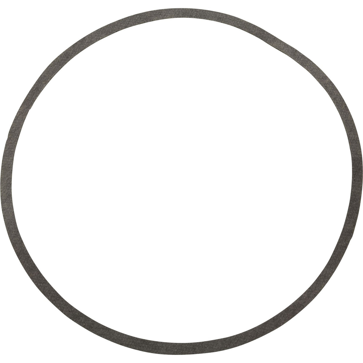 Gasket, Sta-Rite N20-39, Pump, G-52 : G-52