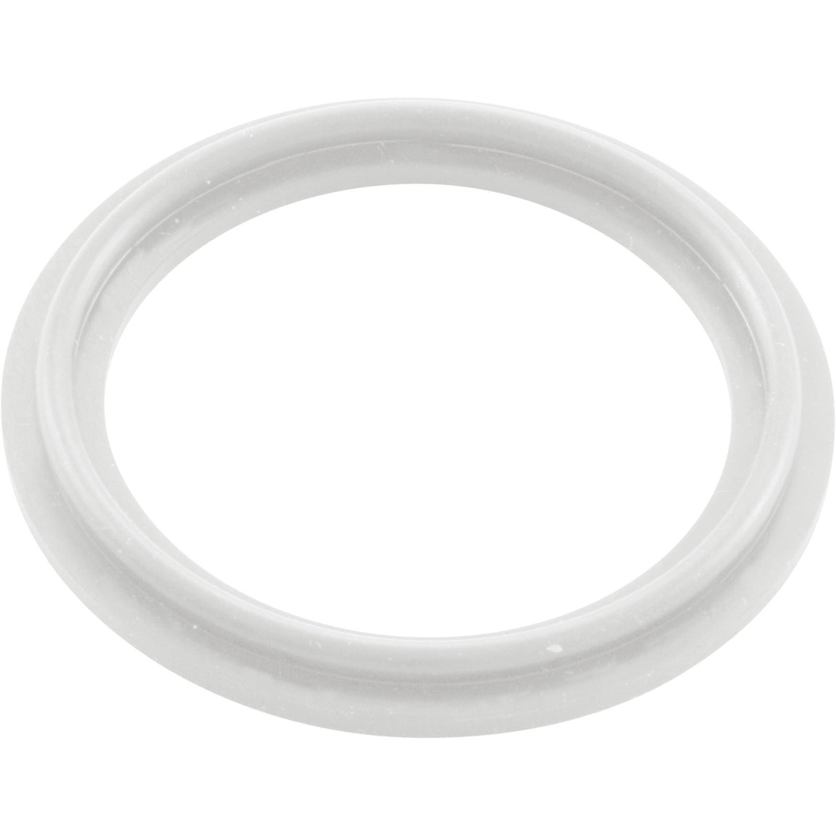 O-Ring/Gasket, Waterway 2", Heater : 711-4030