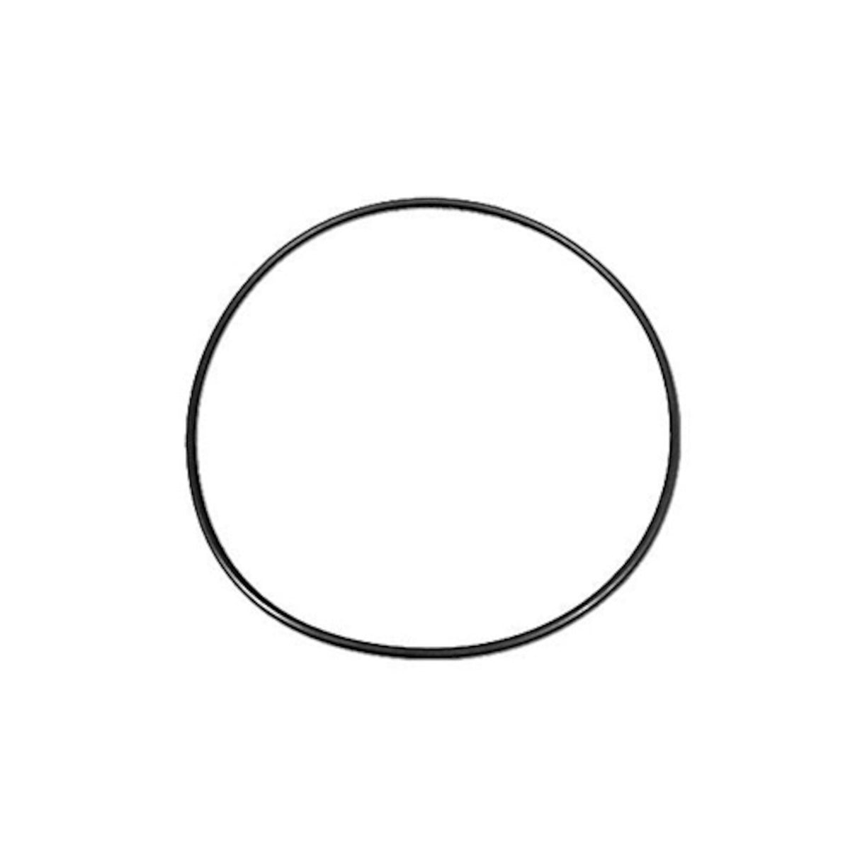 O-Ring, Pump Volute, Waterway, Hi-Flo, 5-3/4"ID x 6"OD : 256BN70