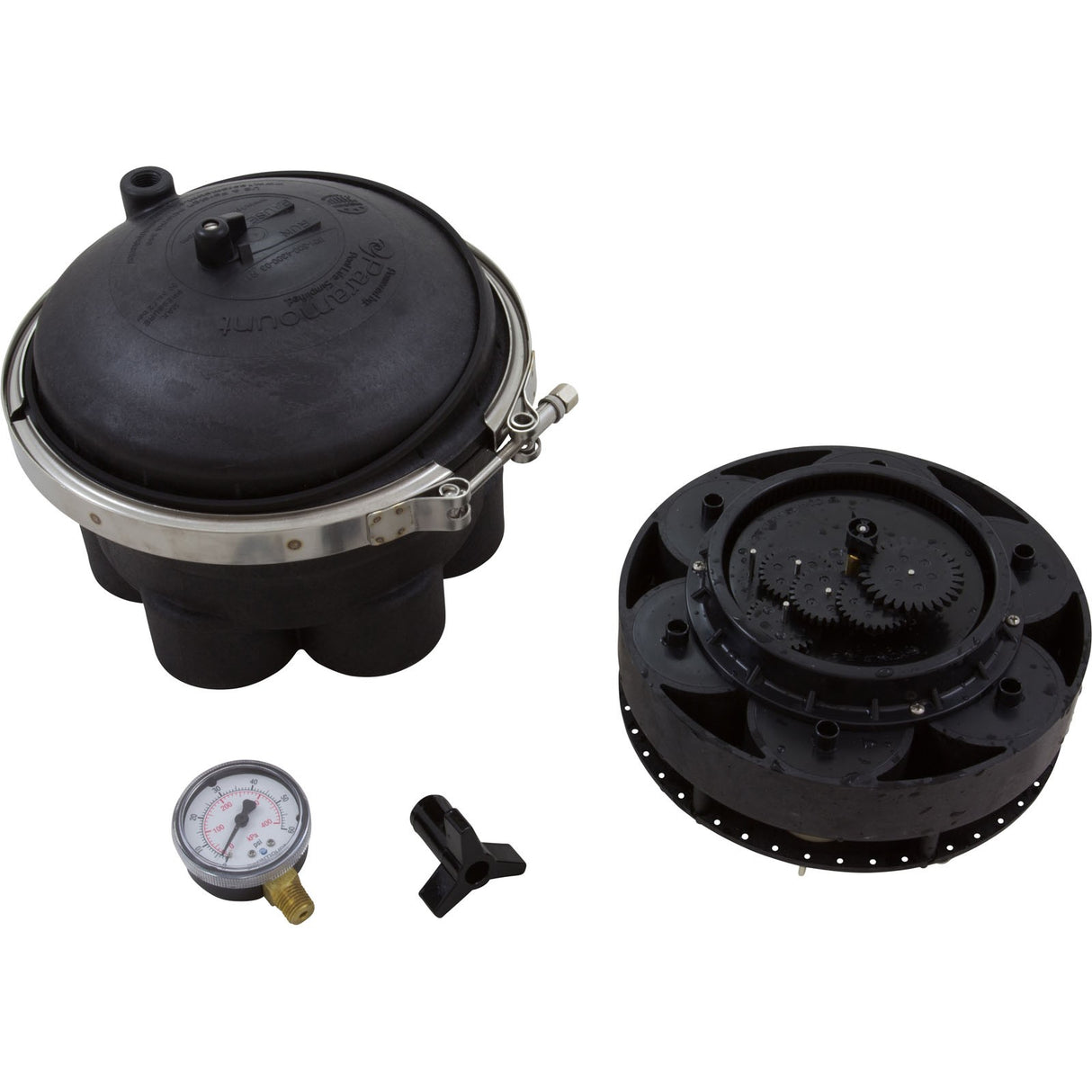 Water Valve, Paramount, 6 Port, 2", Black : 004-302-4184-03