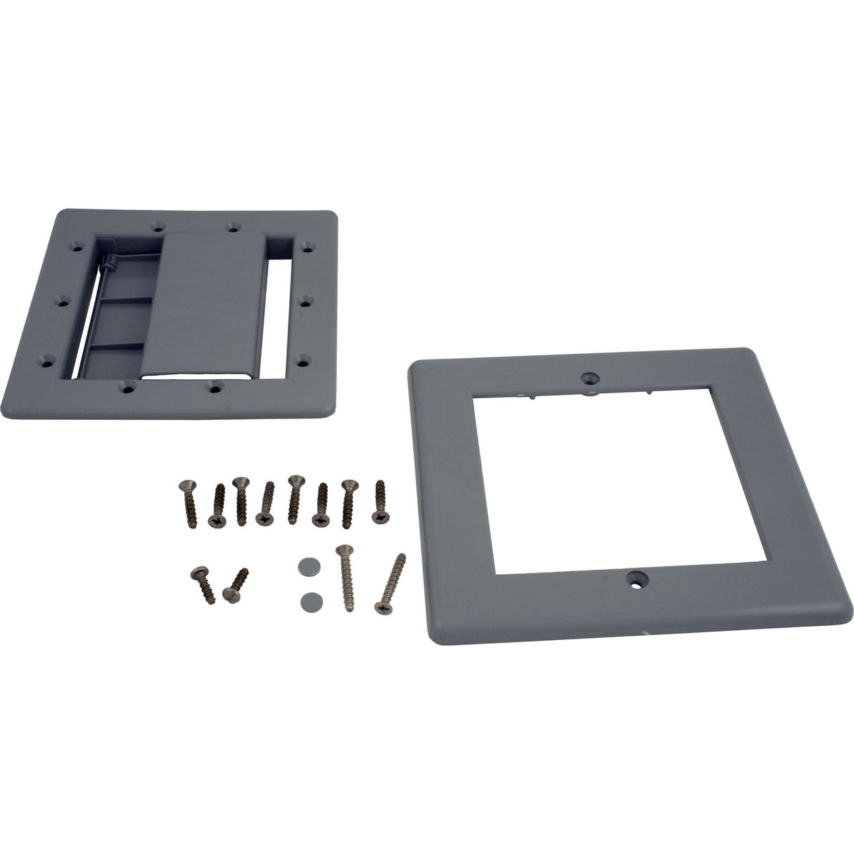 Faceplate Assembly, Pentair Rainbow DSF, Gray : R172555DG