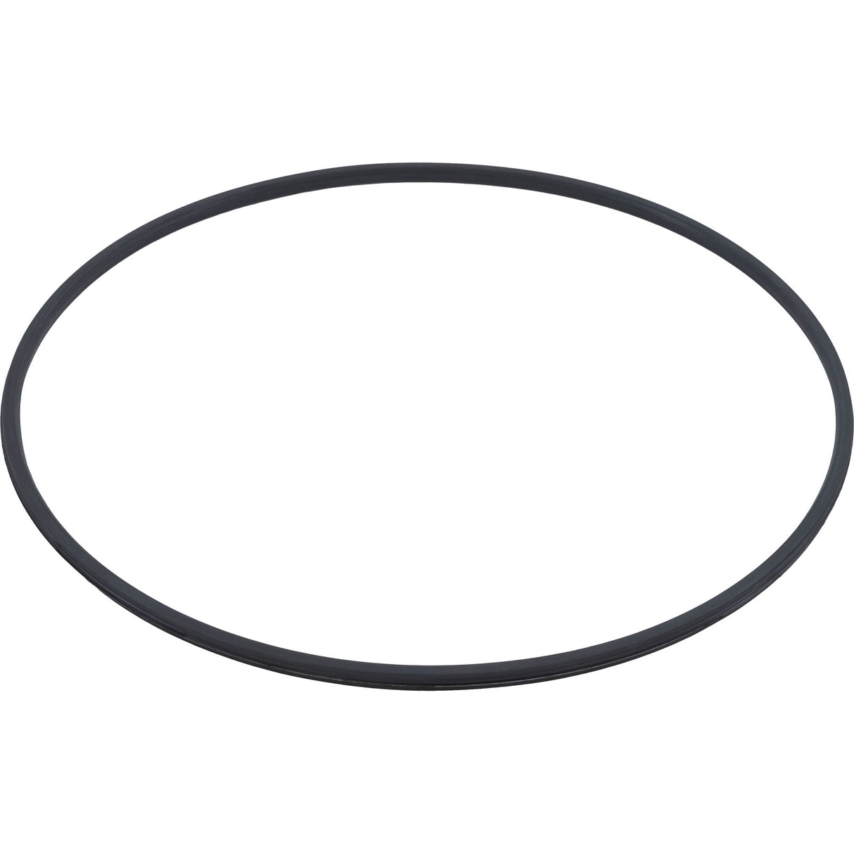 Tank Lid, Hayward C3020/C3025/DE3620, with Clamp Ring : DEX3620BTC - Hayward - 0610377106870 - PartsForSpas.com